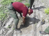 /album/fotogaleria/a970327-662519310429268-494388959-n-jpg/